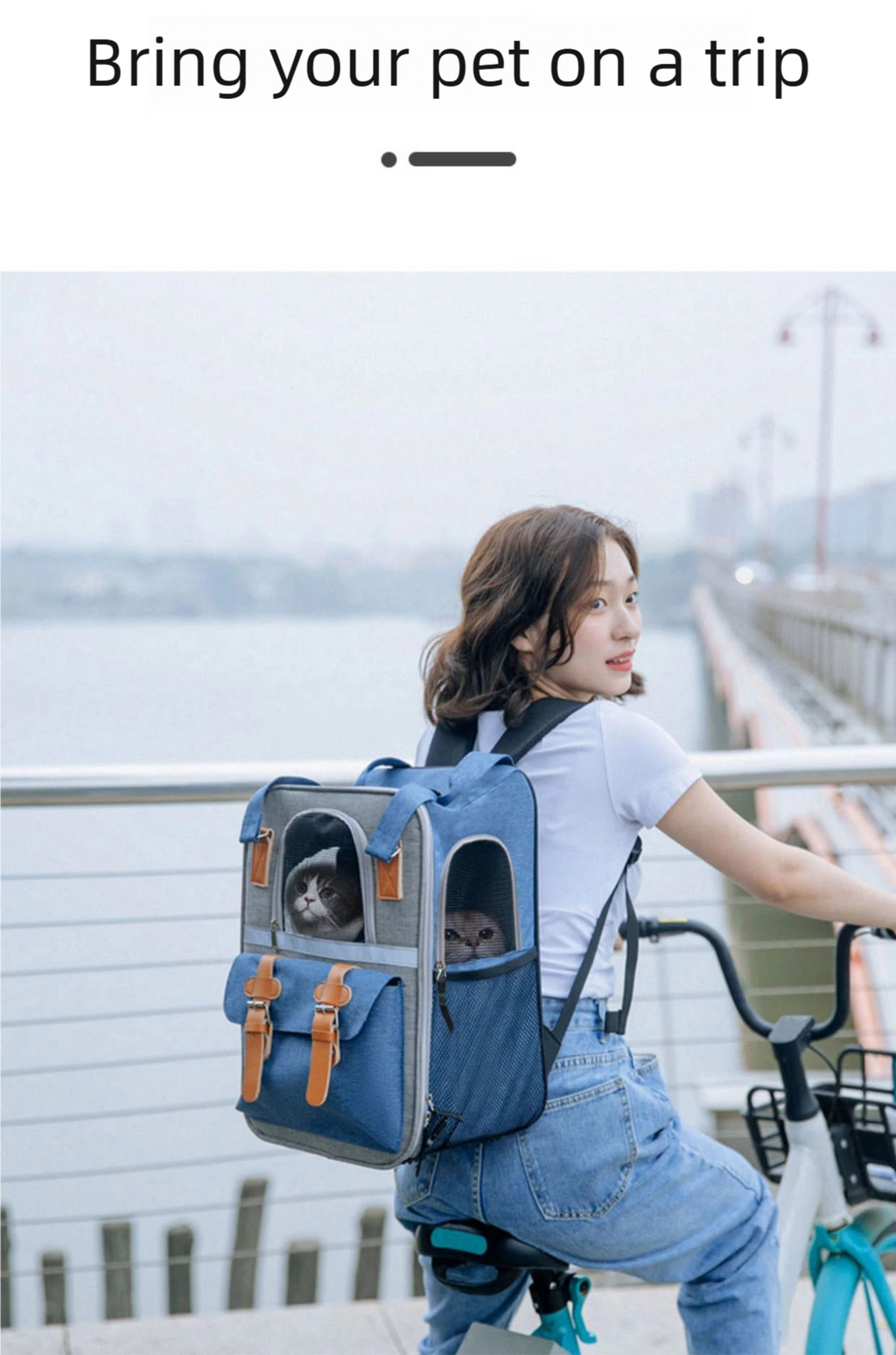 Large Capacity Pet Backpack for Cats & Small Dogs, Ventilated Travel Carrier with Reflective Strip, Foldable Design, 32x22x42cm
