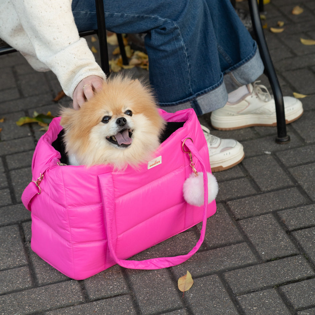 Oodles Solid Pink Quilted Zippered Soft Sided Pet Carrier Bag with Pom Charm, 13 lb Limit