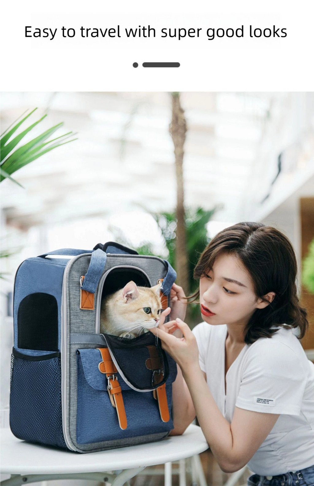 Large Capacity Pet Backpack for Cats & Small Dogs, Ventilated Travel Carrier with Reflective Strip, Foldable Design, 32x22x42cm