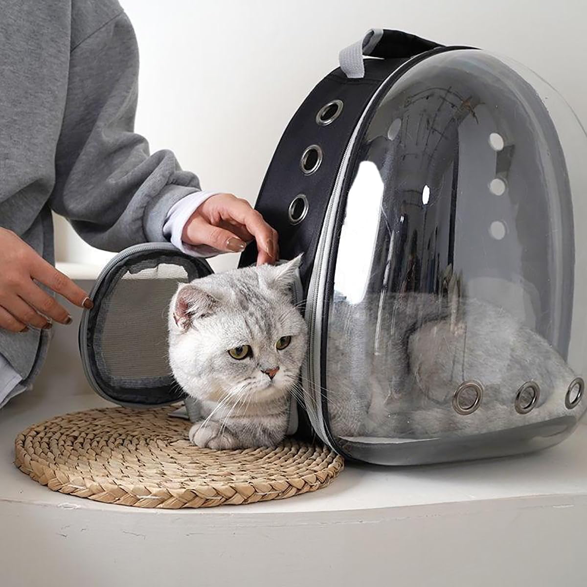 Asunby Outdoor Space Capsule Transparent Bubble Expandable Back Extension Pet Carrier Backpack, for Kittens and Small Dogs up to 13 Pounds, Black