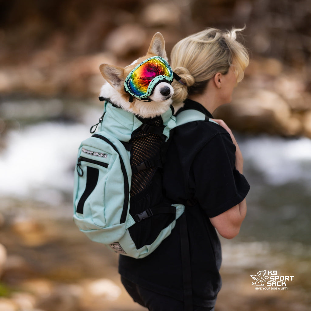 K9 Sport Sack Large Padded Back Panel Pet Carrier Backpack, Grey, 40 lb Limit