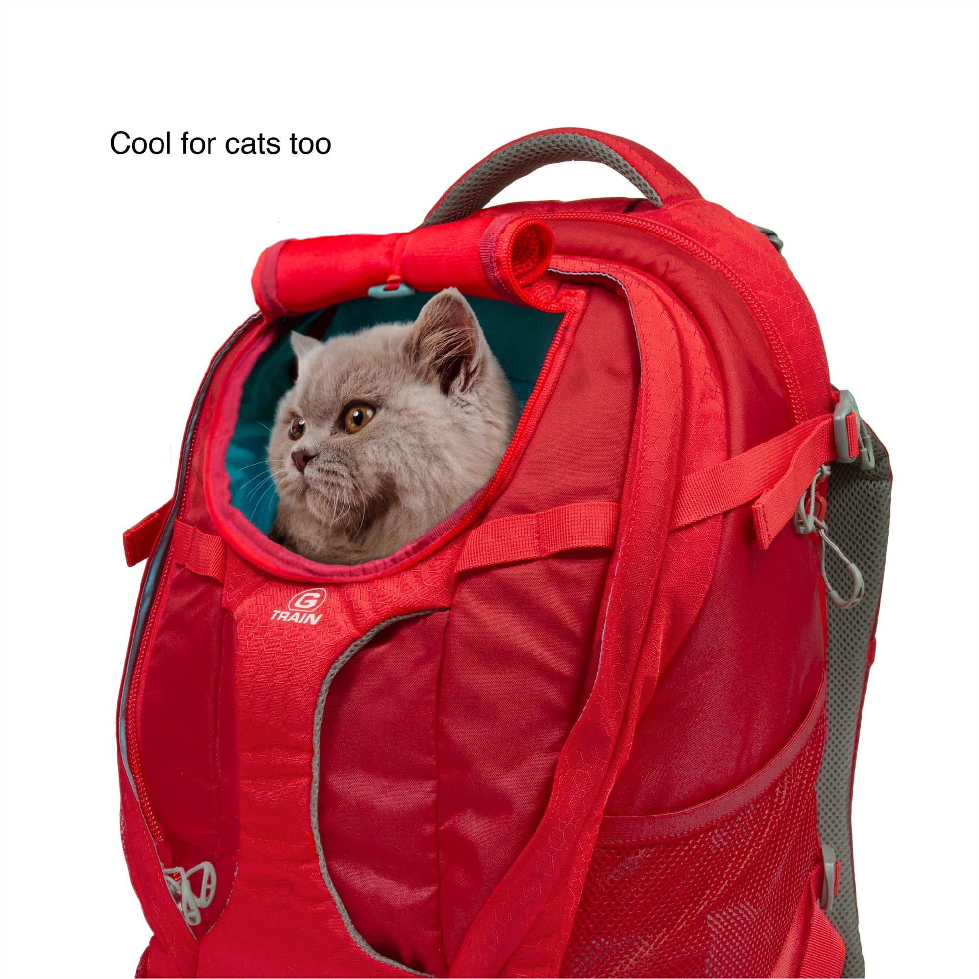 Kurgo G-Train - Dog Carrier Backpack for Small Pets - Cat & Dog Backpack for Hiking, Camping or Travel - Chest Straps & Hip Belt - Reflective - Two Water Bottle Sleeves - Waterproof Bottom (Black)