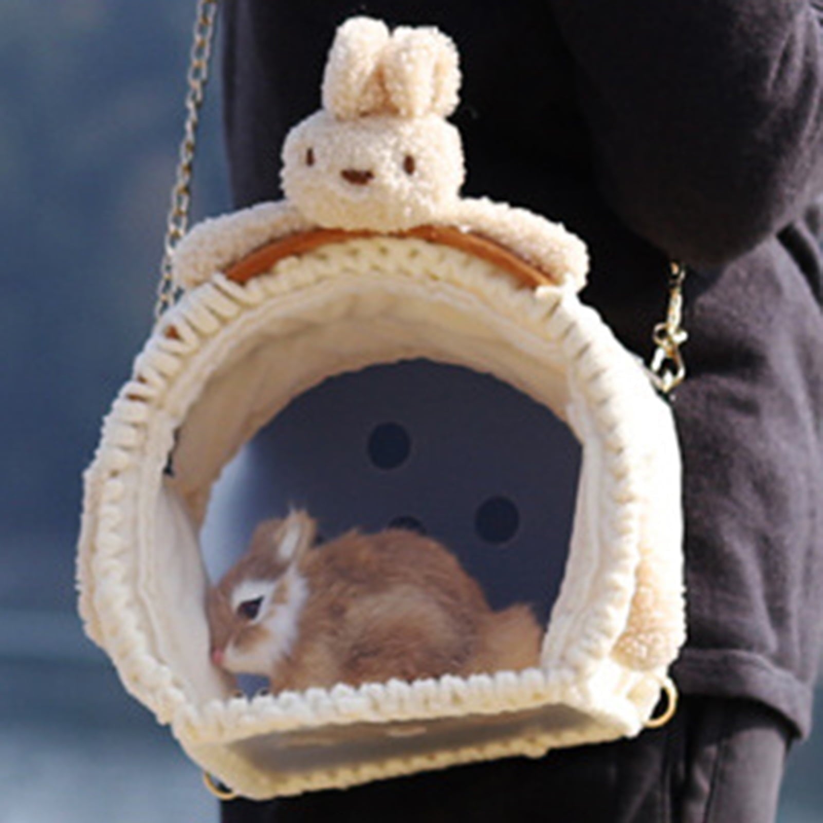 Cheer.US Pet Carrier Backpack, Cute Doll Decor Portable Small Animals Hamster Chinchilla, Designed for Travel, Hiking, Walking & Outdoor Use