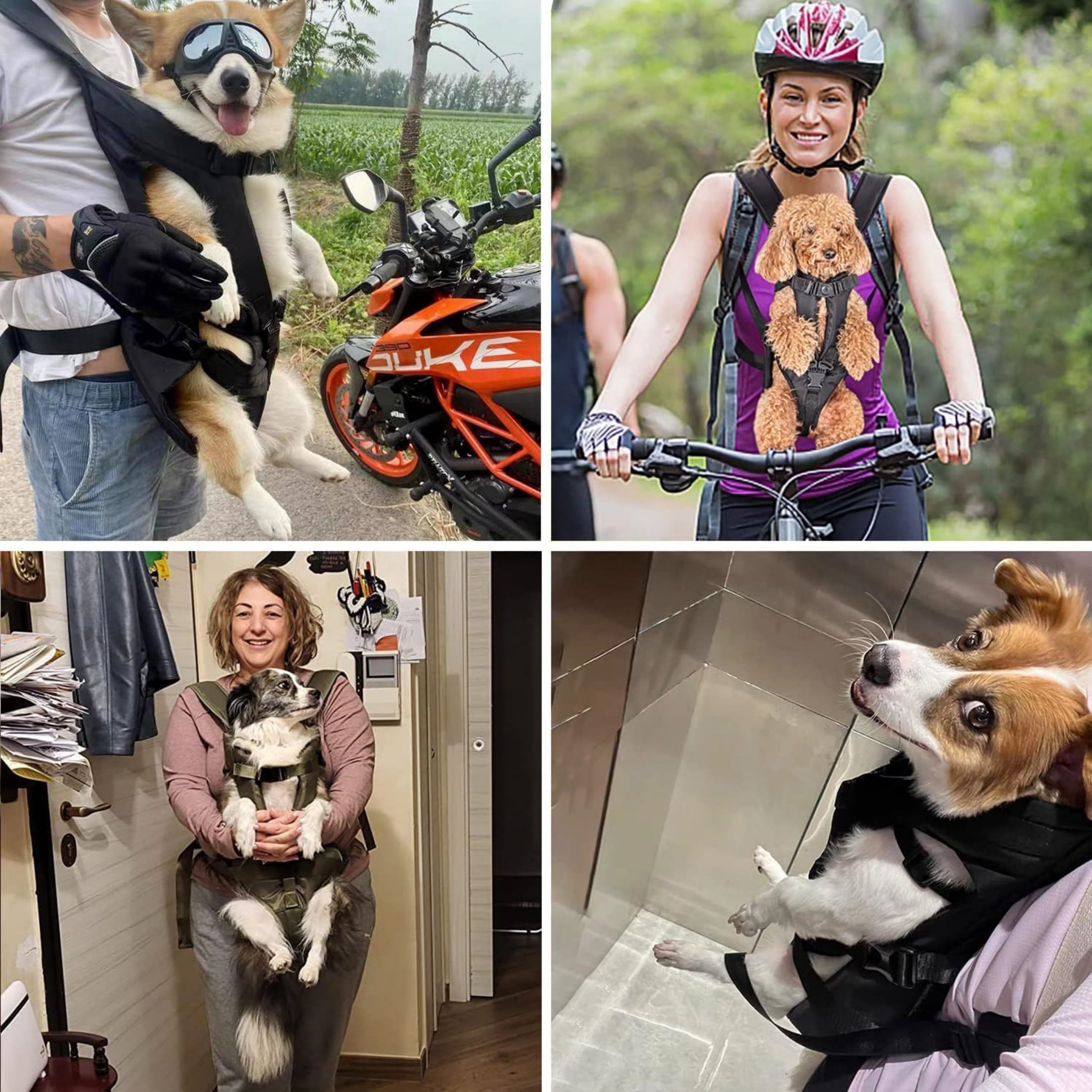 Newborn Brand Pet Front Dog Carrier Backpacks Adjustable For Hiking Cycling