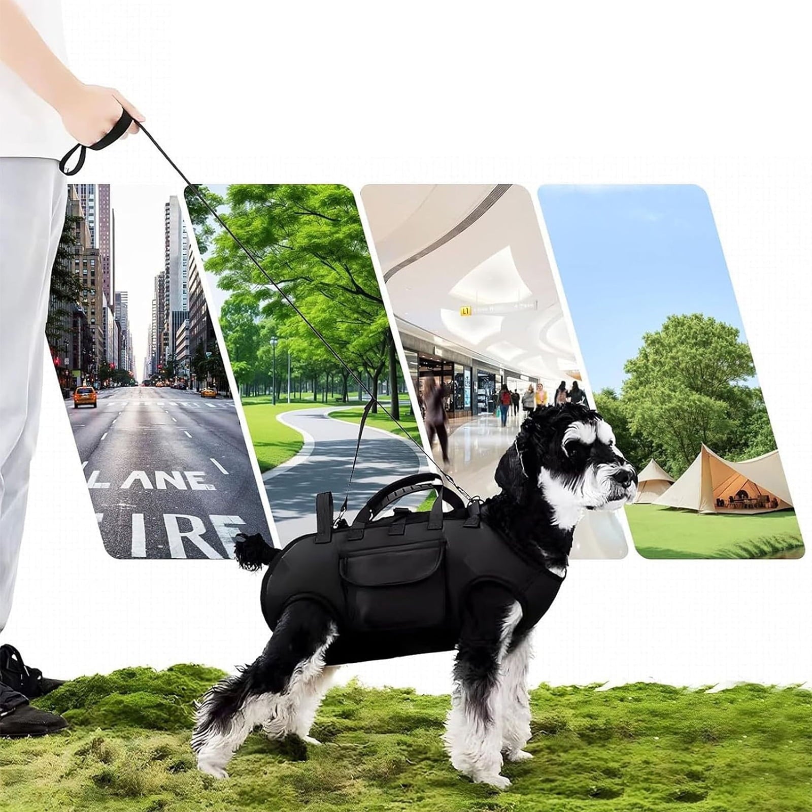 Portable Pet Carrier Backpacks Hand and Shoulder Carry Built in Safety Leash and Breathable for Comfortable Dog Travel