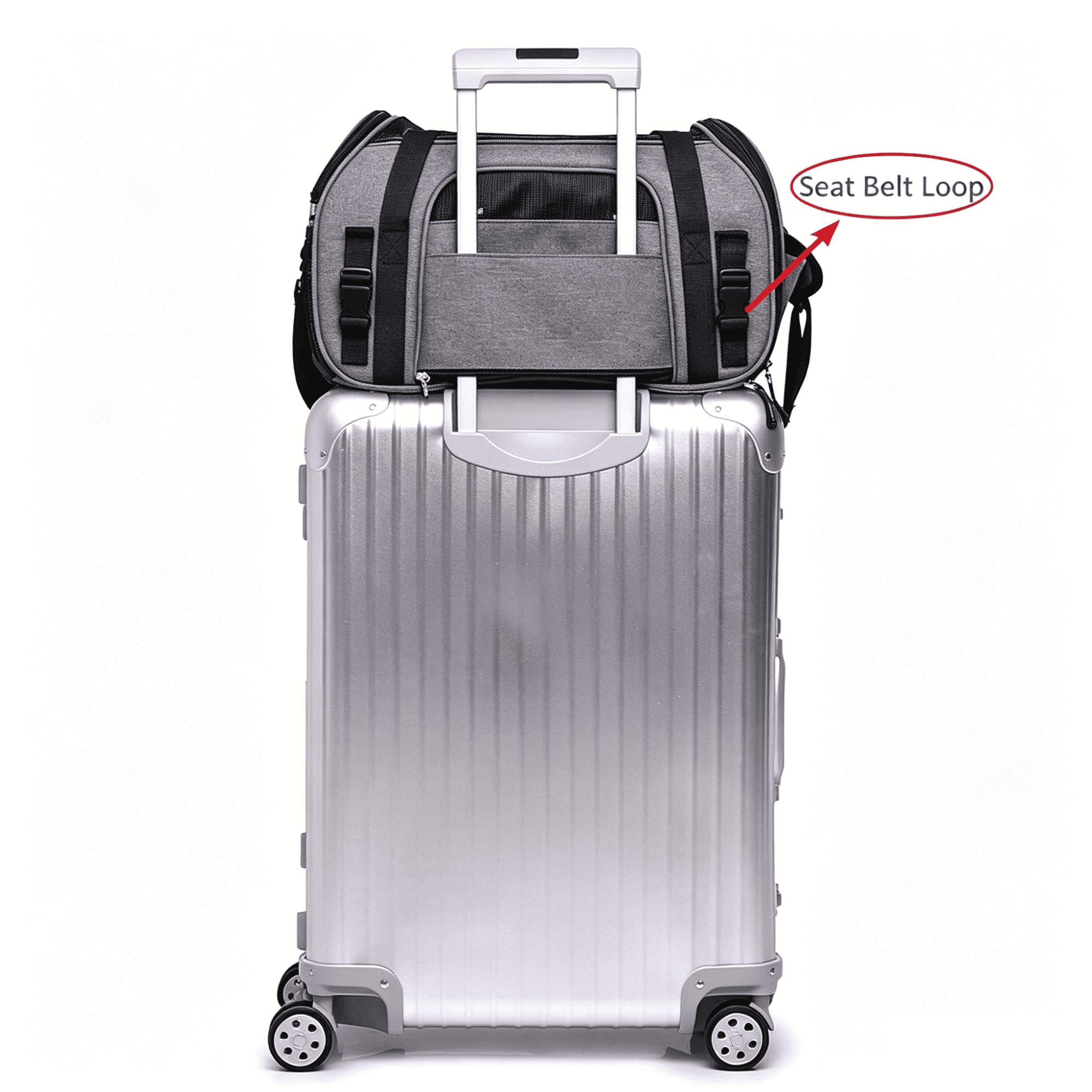 Pet Carrier Backpack, Holds up to 11 lbs, Travel Bag & Soft-Sided Crate for Small Dogs & Cats, Expandable with 5-Side Ventilation, Removable Pad & Luggage Strap, Gray，17"×9"×11"