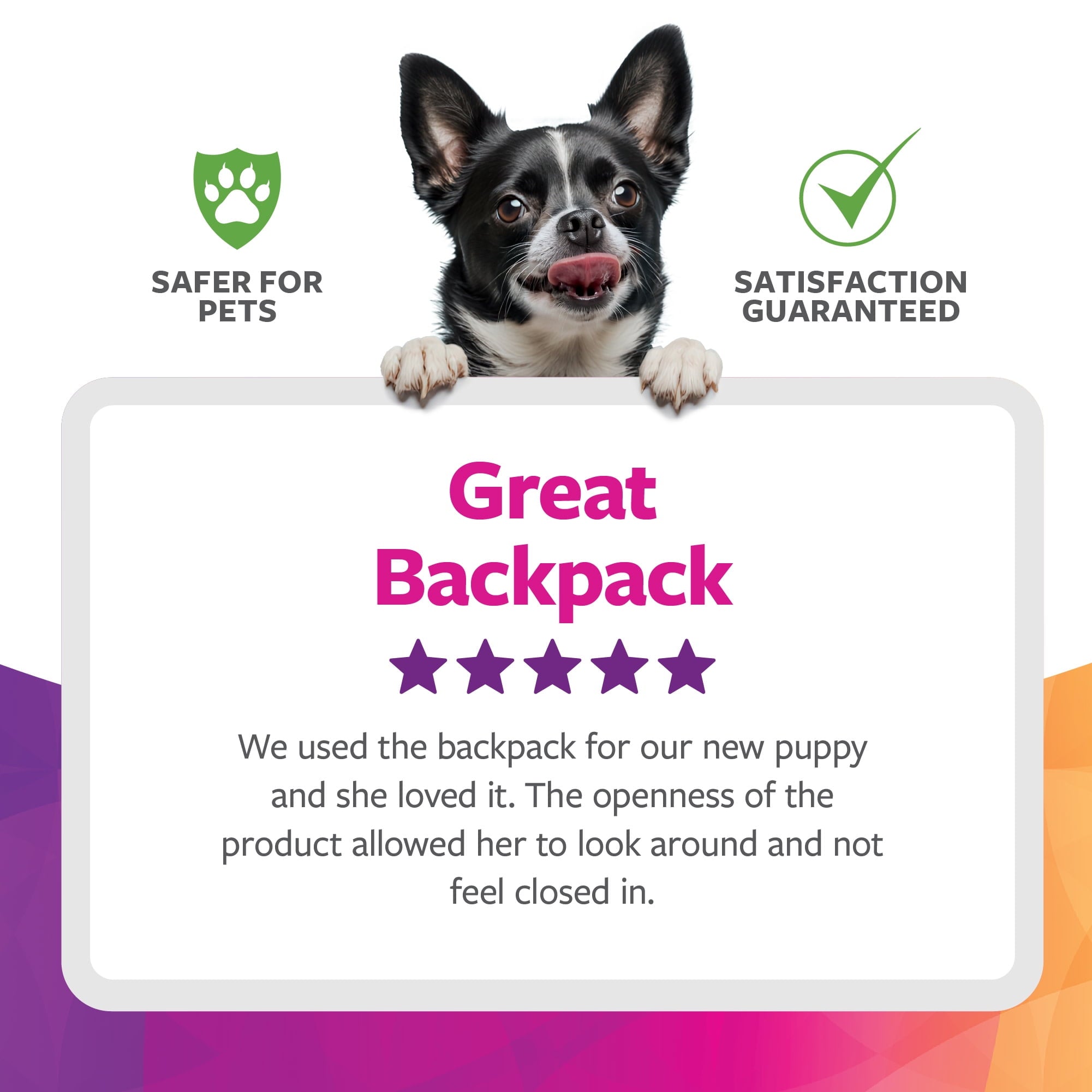 TrustyPup 2-In-1 Dog Travel Backpack, Grey