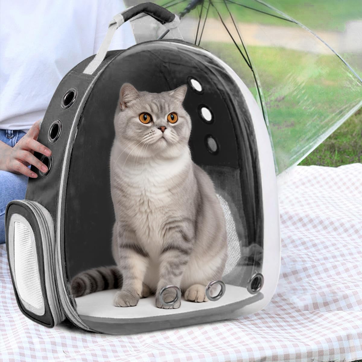 Asunby Outdoor Space Capsule Transparent Bubble Expandable Back Extension Pet Carrier Backpack, for Kittens and Small Dogs up to 13 Pounds, Black