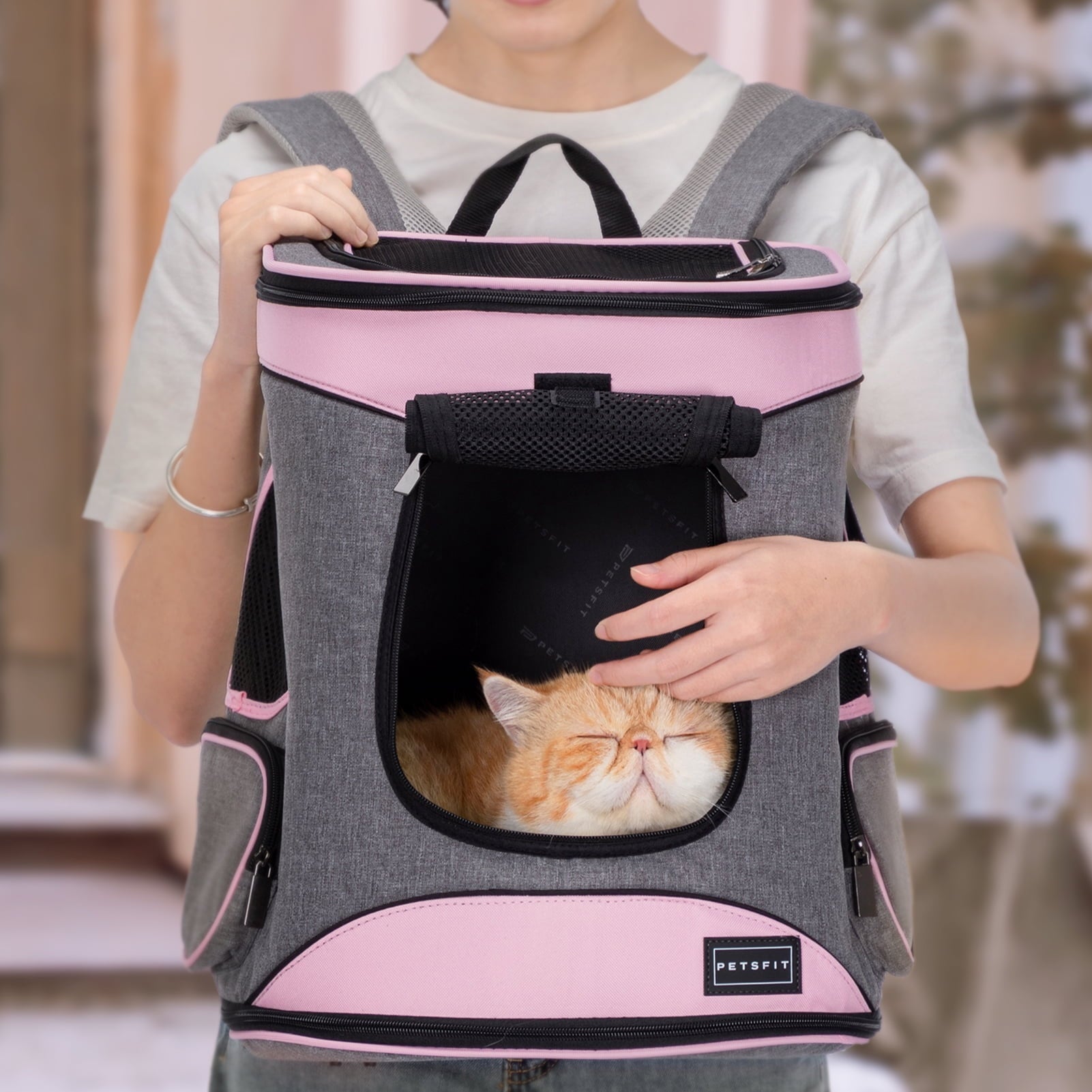 Petsfit Regular Pet Carrier Backpacks with Upgrade Waist Cushion Design, Suitable for Small and Medium Dogs Cats,Pink, 22 lb Limit