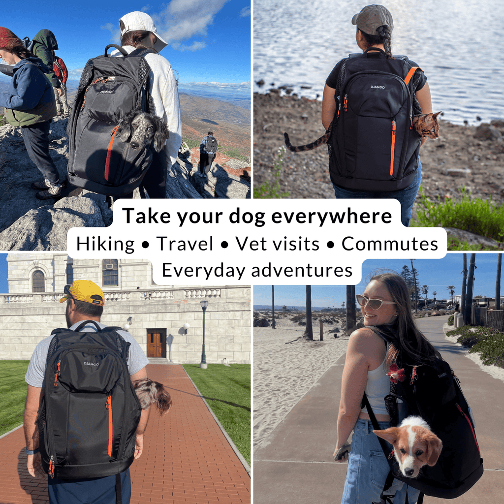 DJANGO Dog Carrier Backpack – Travel Pet Backpack for Small Dogs & Cats with Hip Belt, Storage Pockets, Laptop Sleeve & Water Bottle Holder – Secure, Comfortable Pet Carrier for Hiking & Commuting