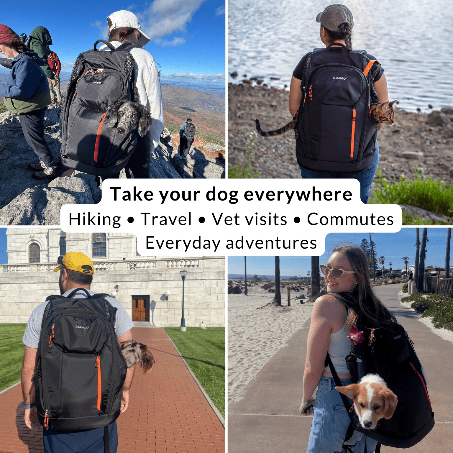 DJANGO Dog Carrier Backpack – Travel Pet Backpack for Small Dogs & Cats with Hip Belt, Storage Pockets, Laptop Sleeve & Water Bottle Holder – Secure, Comfortable Pet Carrier for Hiking & Commuting