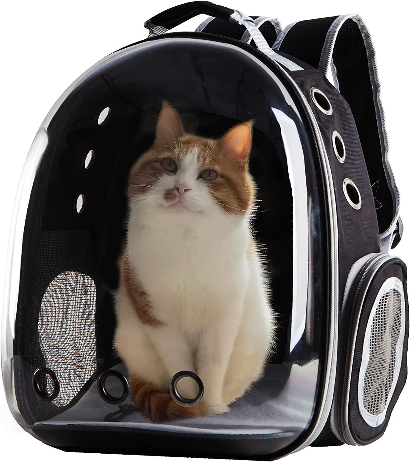 Costyle Pet Cat Carrier Backpack Transparent Space Capsule Pet Dog Bubble Bag Hiking Backpack Airline Approved Travel Carrier, Black