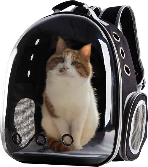Costyle Pet Cat Carrier Backpack Transparent Space Capsule Pet Dog Bubble Bag Hiking Backpack Airline Approved Travel Carrier, Black