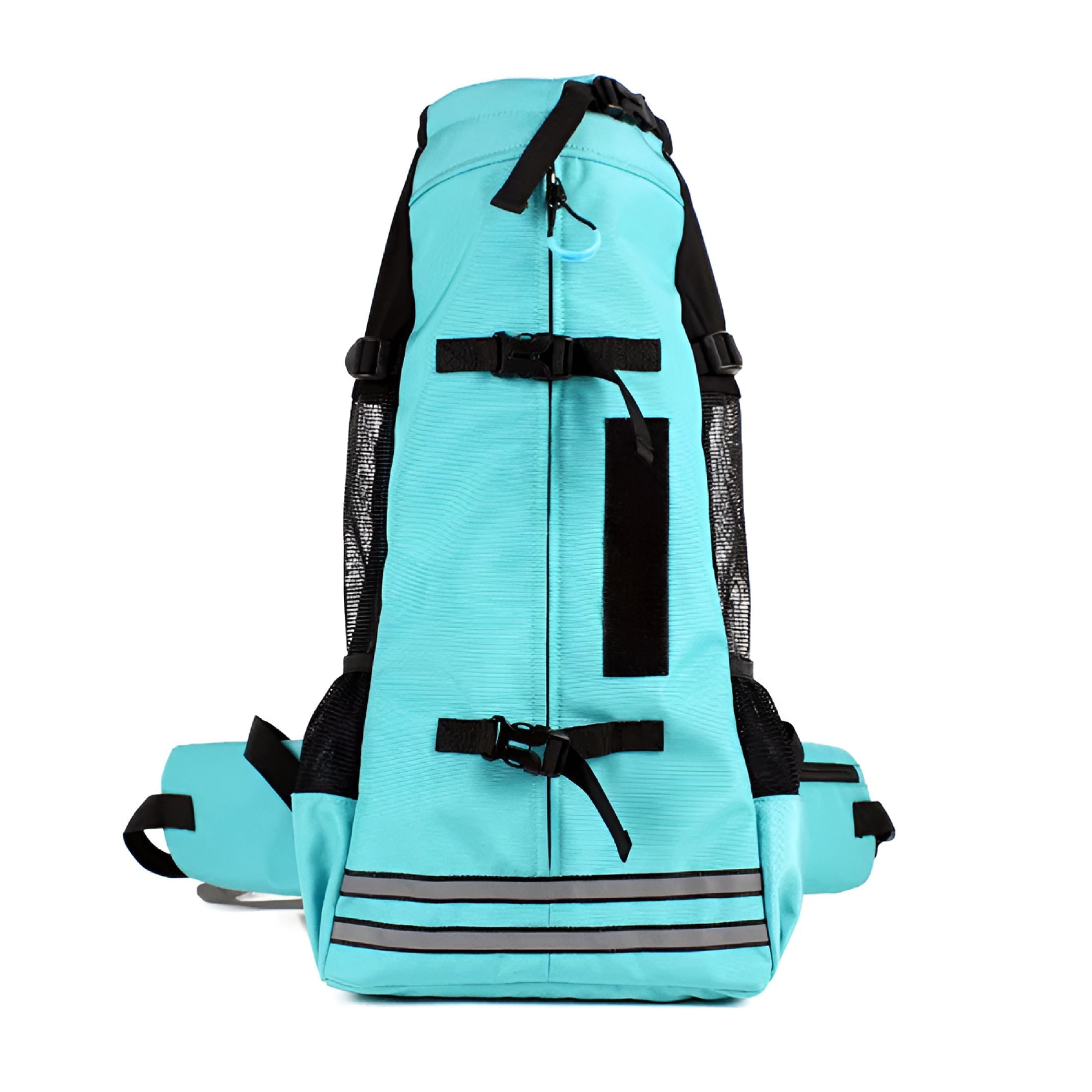 GASTROPOD Puppy Carrier Bag Reflective Breathable Pet Backpack for Corgi Bulldog Large Dogs Adjustable Outdoor Hiking Dog Travel Bag (Lake green, L)