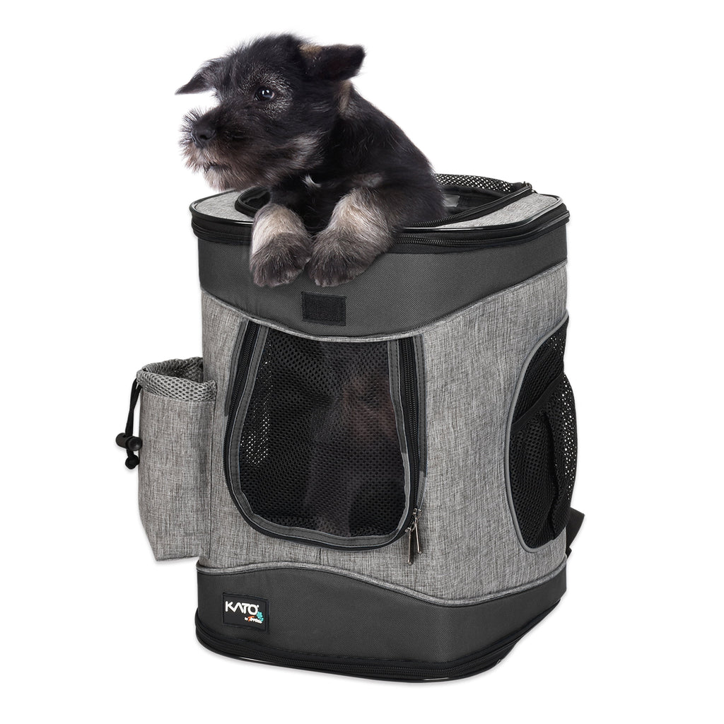 Pawse Pet Carrier Foldable Backpack for Small Cats Dogs And Puppies Upto 18 LBS, Airline-Approved Two-Sided Entry Padded Back Support Travel Carrier for Hiking, Walking, Cycling & Outdoor