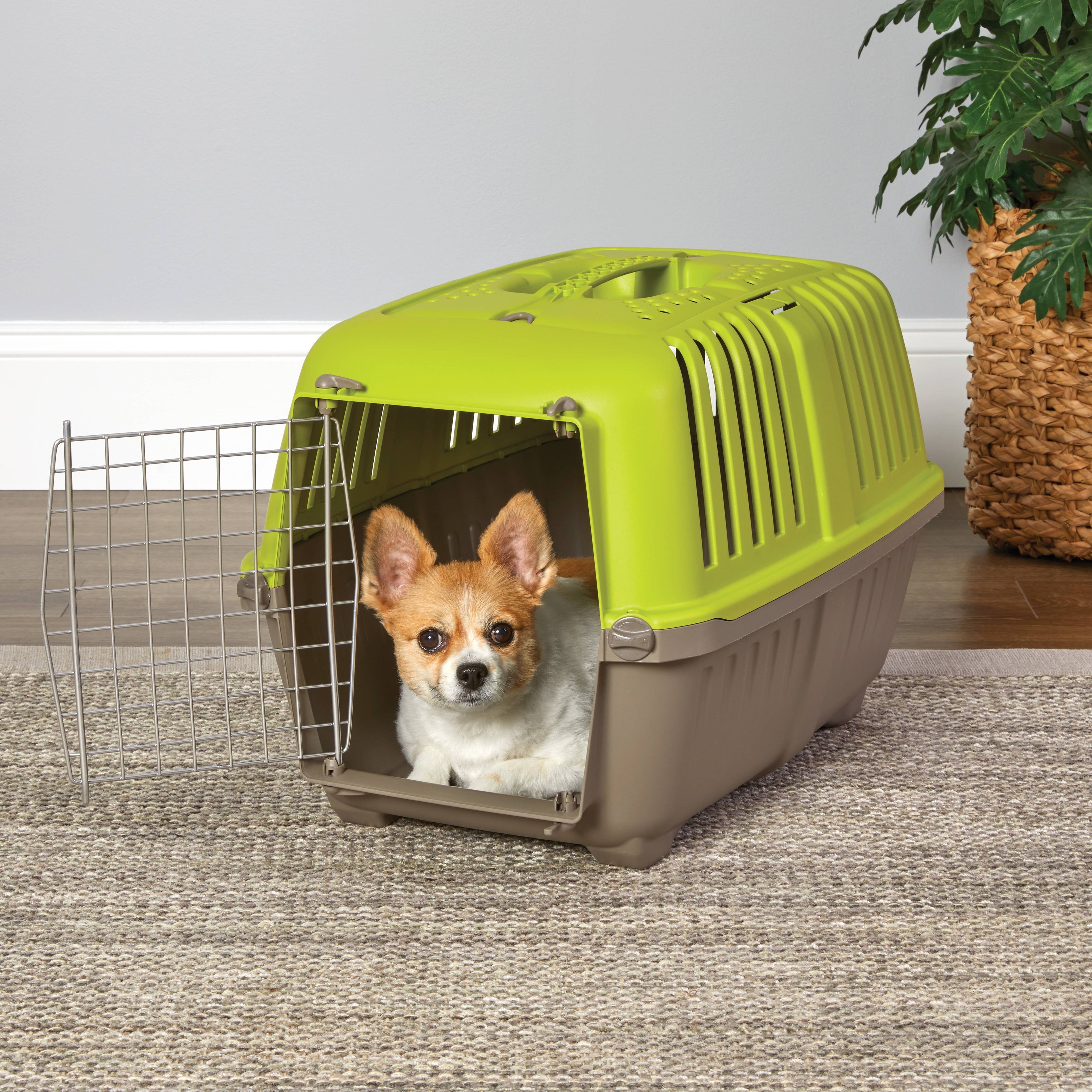 MidWest Homes for Pets 19 inch Spree Travel Pet Carrier for Dog or Cat with Steel Door, Blue