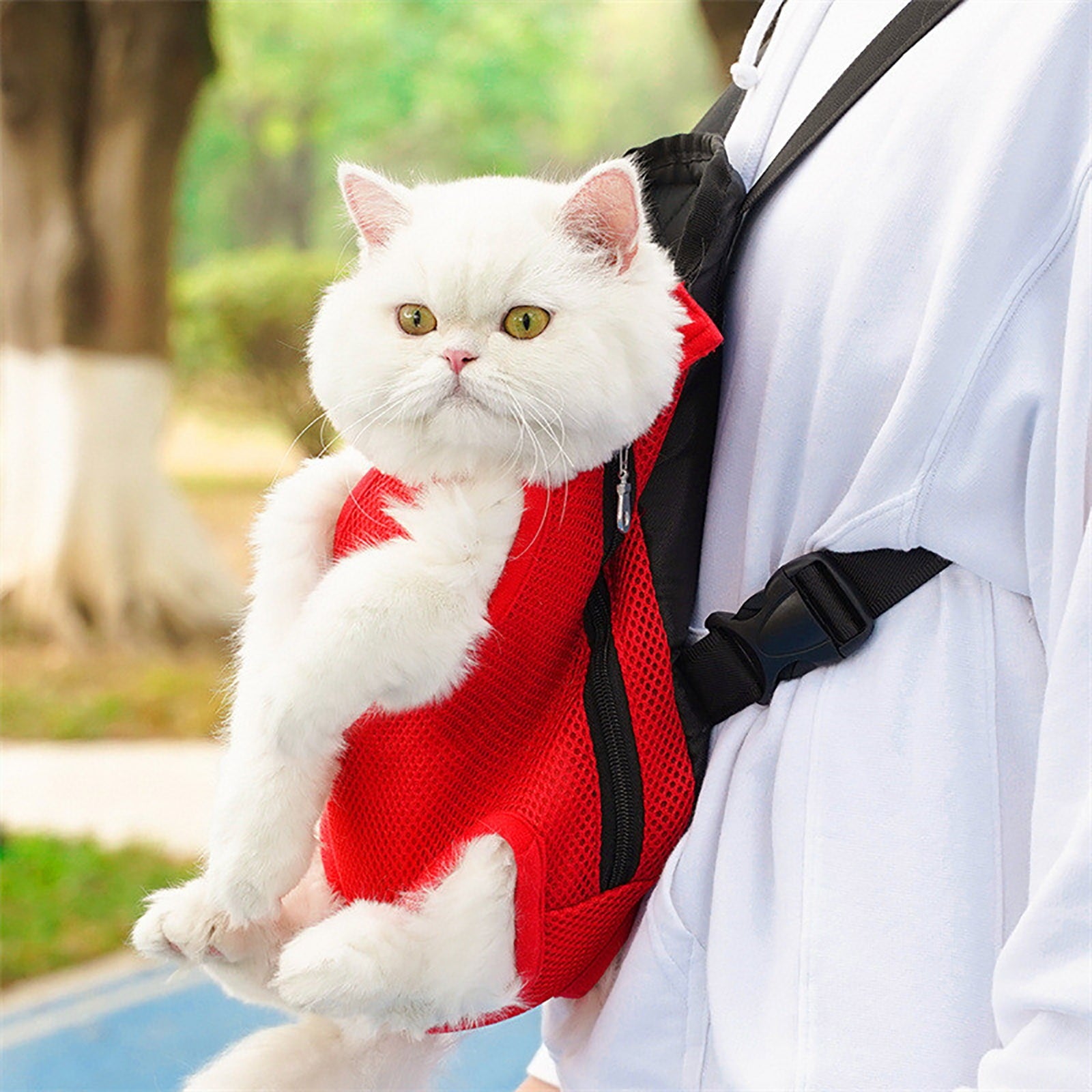 Pet Backpack Carrier, Breathable Mesh Design, Portable Travel Bag for Cats and Small Dogs, Foldable with Adjustable Straps