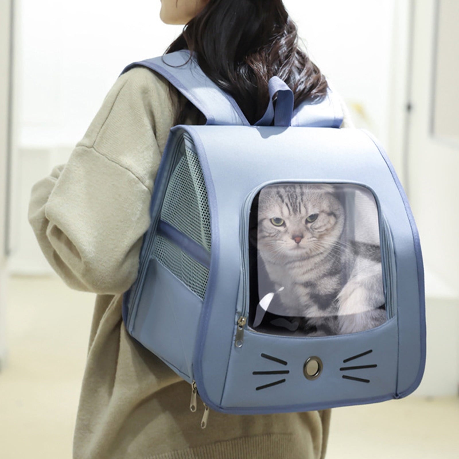 Pet Backpack Carrier - Traveler Breathable Transparent Carrier for Cats or Dogs, Large Space and Foldable Pet Carrier for Travel, Hiking - Blue