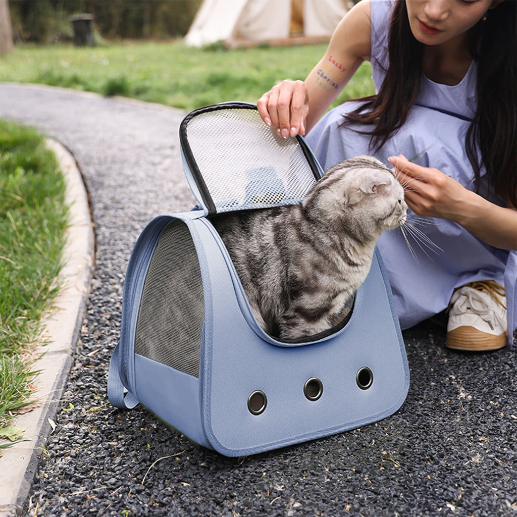Qiweii 2025 New Cat Backpack Carrier, Breathable Cat Carrier Large Space Bubble Pet Backpack for Kitty Small Dog, Transparent & Foldable Pet Carrier for Travel Hiking