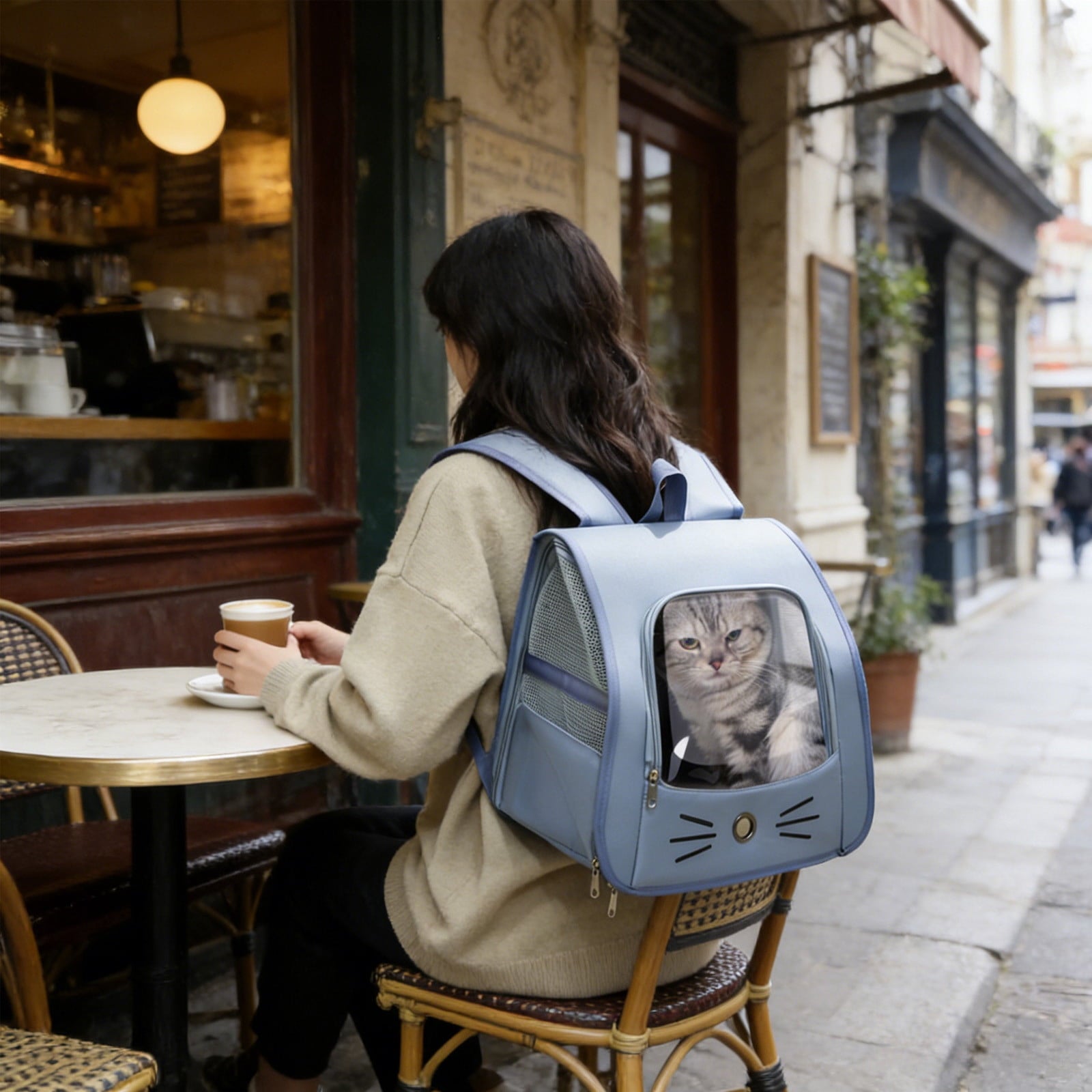 Pet Backpack Carrier - Traveler Breathable Transparent Carrier for Cats or Dogs, Large Space and Foldable Pet Carrier for Travel, Hiking - Blue