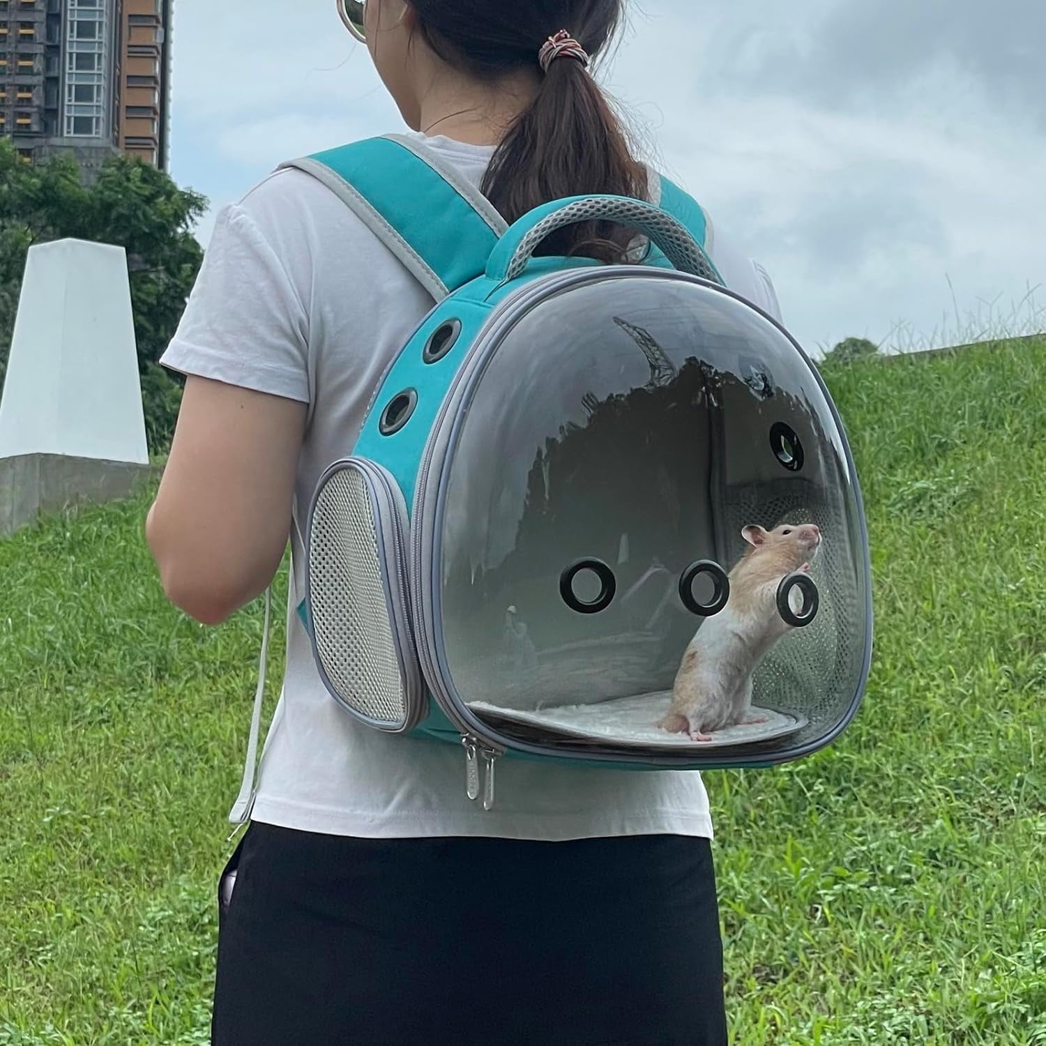 Portable Green Travel Pet Backpack Carrier for Small Dogs Cats and More