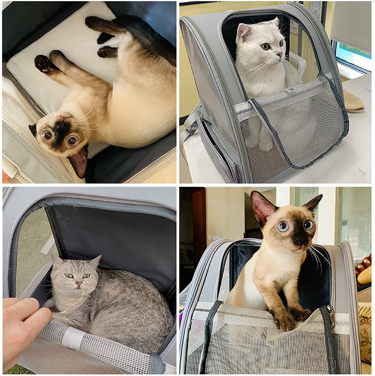 Xlhshop Mesh Bubble Pet Carrier Backpack, Breathable Travel Bag for Cats & Small Dogs