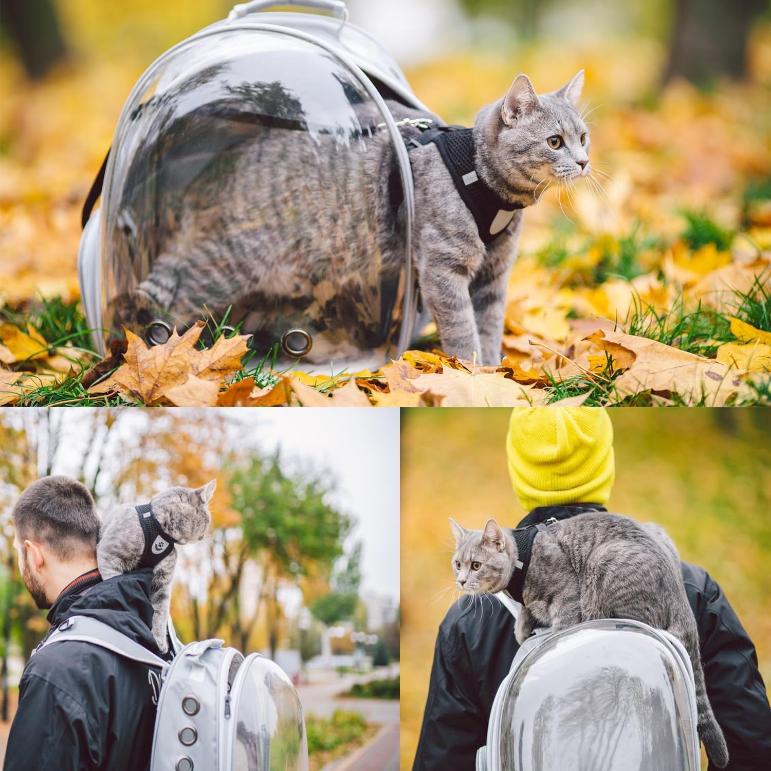 Pet Carrier Backpack/Bubble Carrying Bag for Small Medium Dogs Cats, Space Capsule Pet Carrier for Hiking, Travel, Airline Approved Cat Travel Carrier- Black