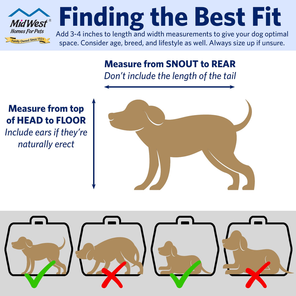 MidWest Homes for Pets 19 inch Spree Travel Pet Carrier for Dog or Cat with Steel Door, Blue