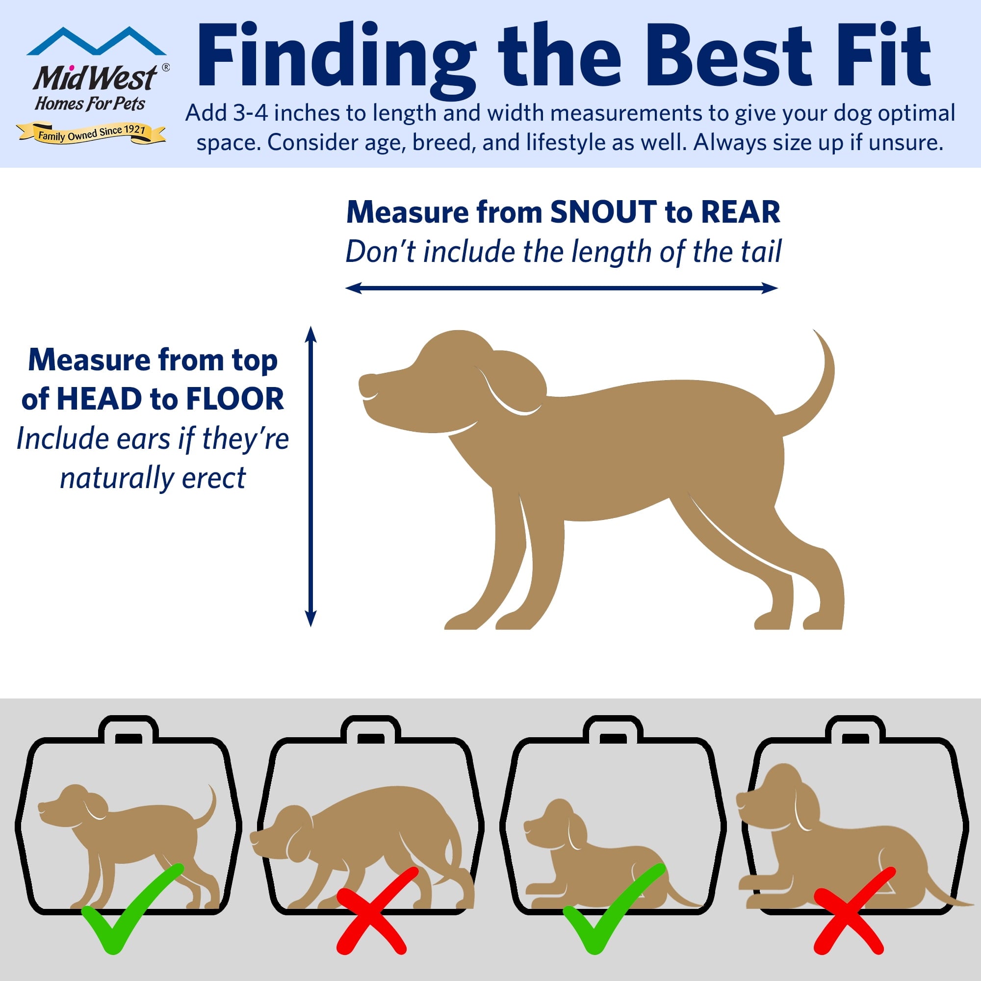 MidWest Homes for Pets 19 inch Spree Travel Pet Carrier for Dog or Cat with Steel Door, Blue