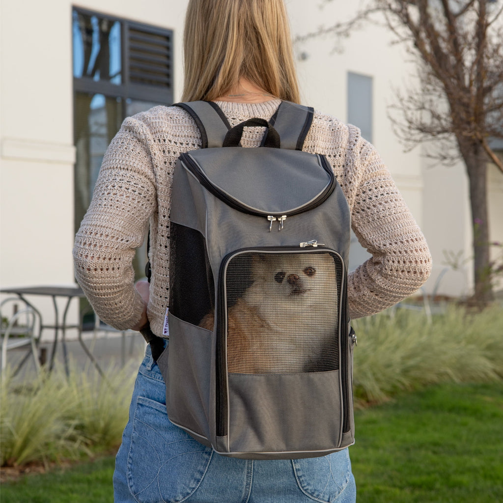 TrustyPup 2-In-1 Dog Travel Backpack, Grey
