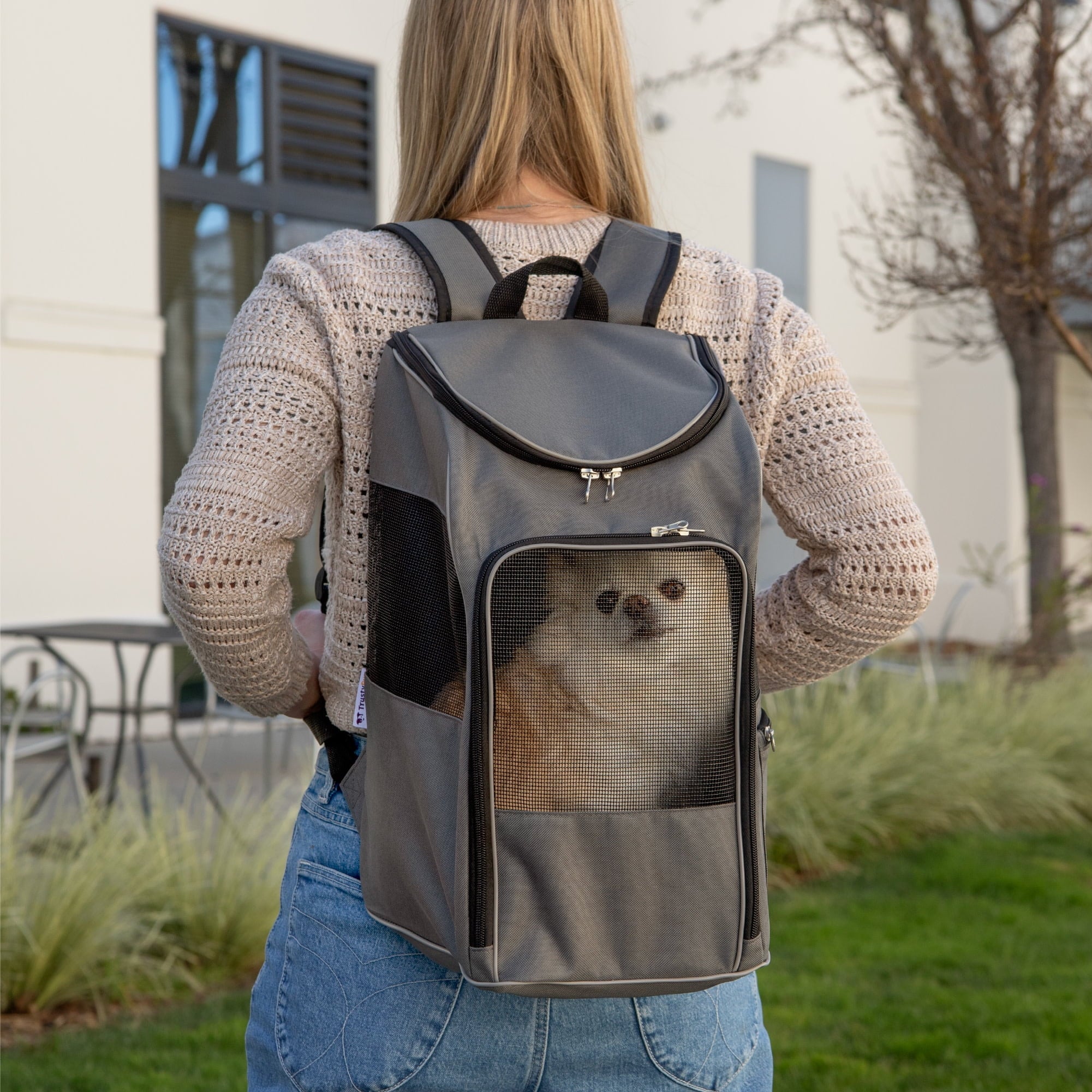 TrustyPup 2-In-1 Dog Travel Backpack, Grey