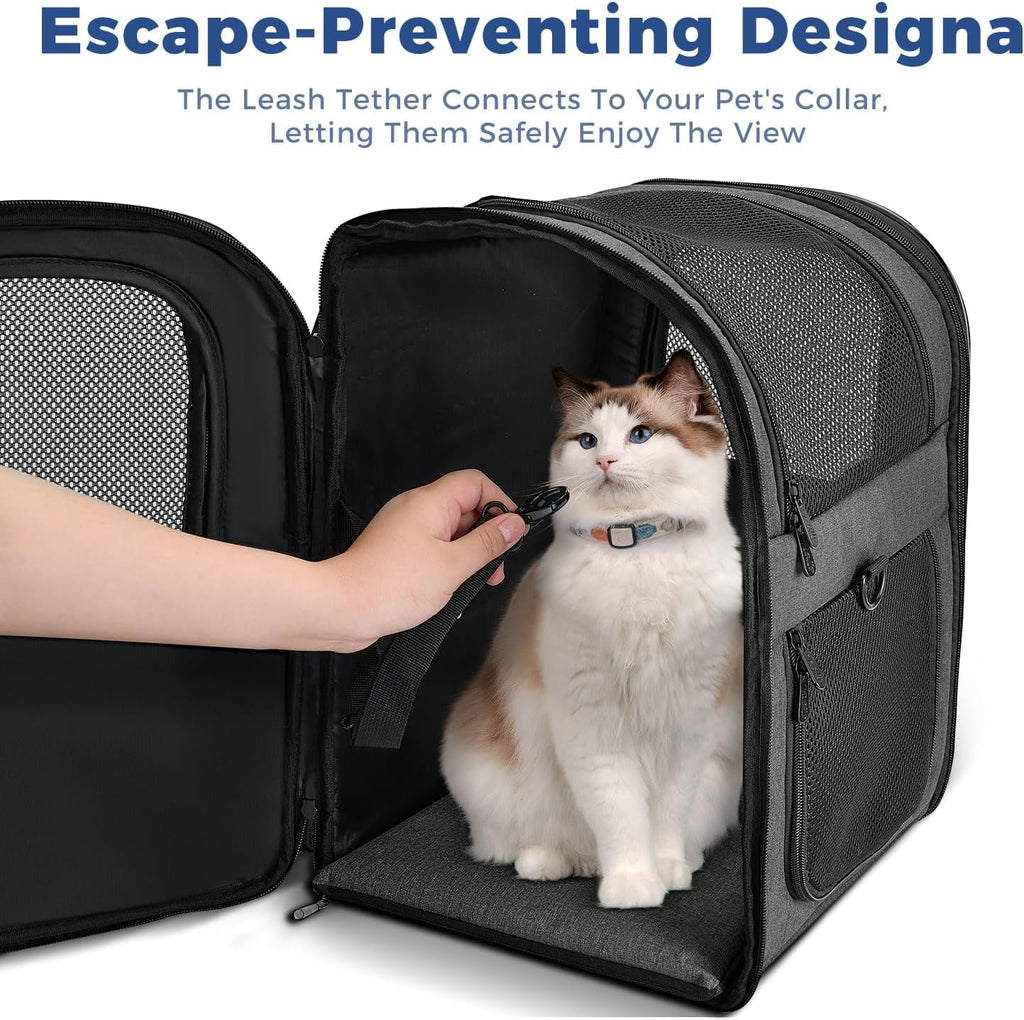DZMDZM Dog & Cat Carrier Backpack for Large/Small Pets-Ventilated Safe Design with Padded Back Support,Portable and Foldable Pet Carrier Backpacks,Outdoor Travel Breathable Mesh Pet Backpack (Black)