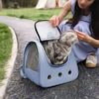 Qiweii 2025 New Cat Backpack Carrier, Breathable Cat Carrier Large Space Bubble Pet Backpack for Kitty Small Dog, Transparent & Foldable Pet Carrier for Travel Hiking
